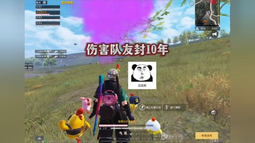 和平精英辅助【美杜莎容器直装V1.3】变色绘制 骨骼绘制 掩体变色 手持显示 全枪无死角漏打 扫车打鸟 范围可调节