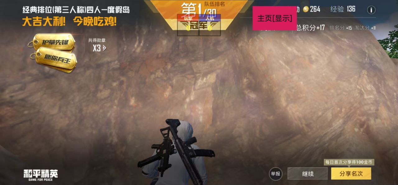 和平精英辅助《印度人》容器直装稳定无限连打